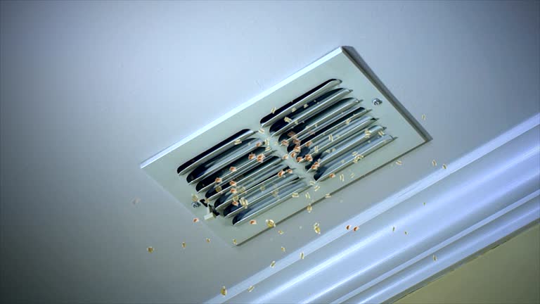Best Air Duct Cleaning Near Me  in Queens Gate, PA