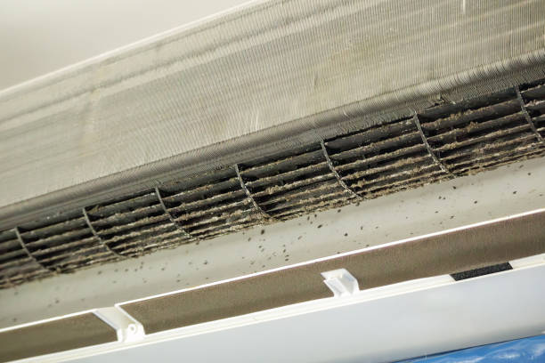 Best Home Air Vent Cleaning  in Queens Gate, PA